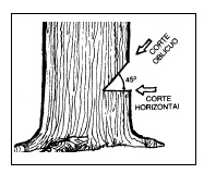 Como cortar un árbol – esinteres